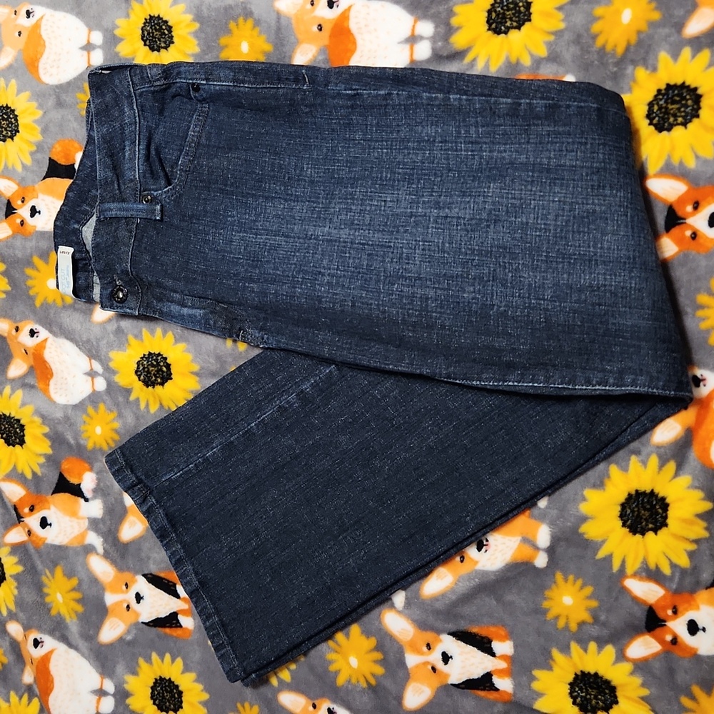 Levis 545 Low Boot Cut jean